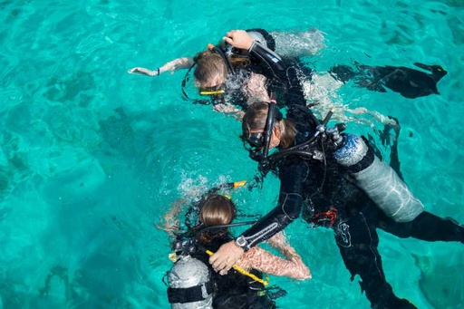 Introductory dive