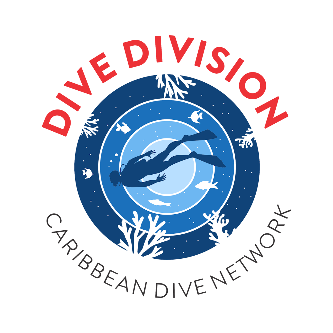 Dive Division